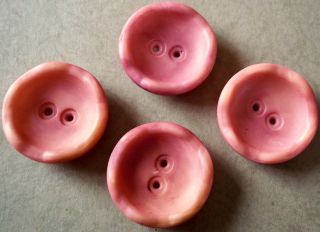 Four Great Vintage Scalloped Edge Raspberry/pink Vegetable Ivory Buttons photo