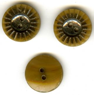 Antiq.  Horn Buttons (5),  C.  1890s? photo