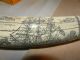 Scrimshaw Walrus Tusk Replica Famous American Captain John Paul Jones 22 Inches Scrimshaws photo 7