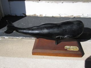 Antique American Folk Art Wood Carved Sperm Whale Cape Cod Ma 1850 Scrimshaw photo