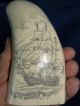 Scrimshaw Replica Whale Tooth 
