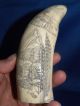 Scrimshaw Replica Tooth The Ship 