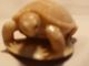 Scrimshaw Carved Tagua Nut Turtle Scrimshaws photo 5