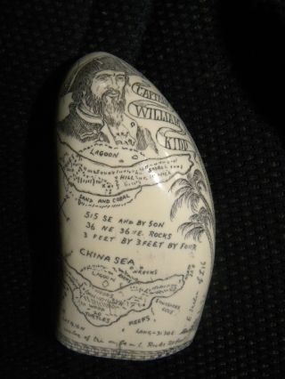 Scrimshaw Whale Tooth Resin Replica Captain Kidd photo