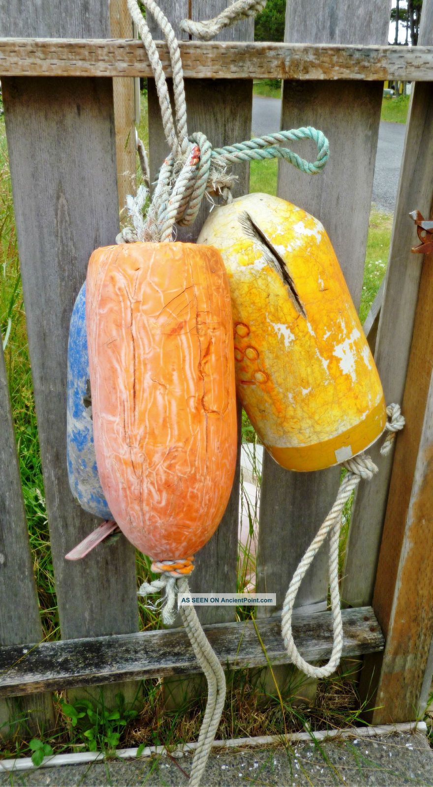 3 Beachcombed Crab Floats Buoy Bouy Net Fishing Fish Shrimp Lobster 88 Fishing Nets & Floats photo