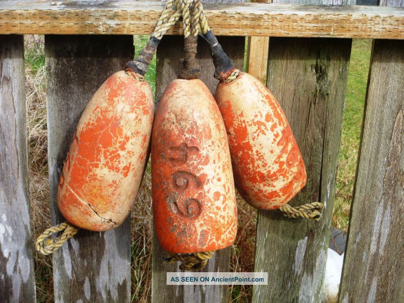 3 Beachcombed Authentic Crab Floats Buoy Bouy Net Fishing Fish Shrimp Lobster 32 Fishing Nets & Floats photo