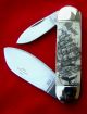 Scrimshaw Art,  Tall Ship,  Whale,  Pirate ' S Sword,  By Shar,  Folding Knife/knives Scrimshaws photo 1