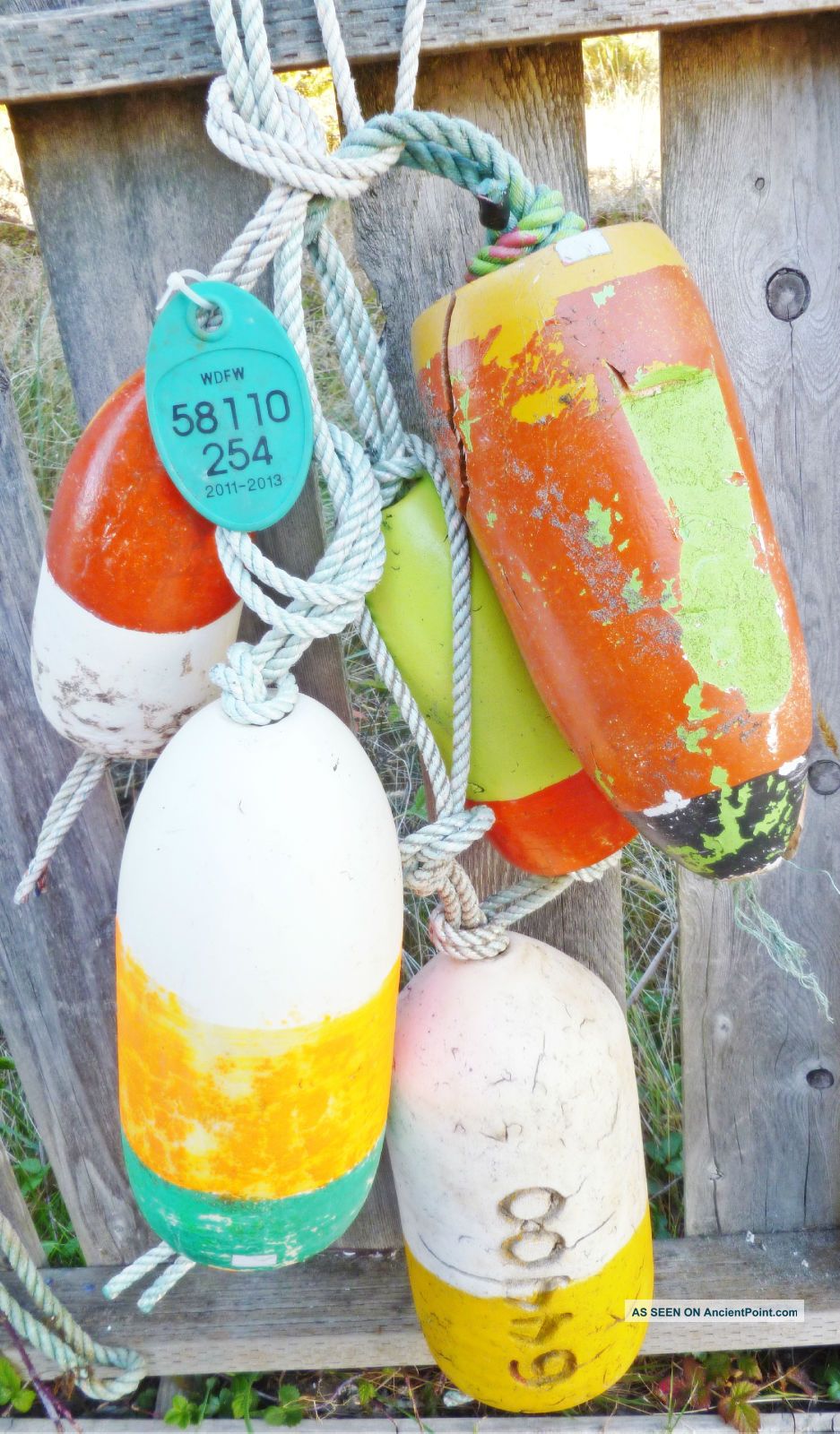 Authentic 5 Beachcombed Crab Floats Buoy Bouy Net Fishing Fish Shrimp Lobster 56 Fishing Nets & Floats photo