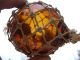 Rare Smallest Nw Glass Float Amber Ball (251) Fishing Nets & Floats photo 1
