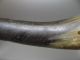 Antique Scrimshaw Bull Horn Carving Old Art Artwork Whale Design Figurine Nr Scrimshaws photo 7