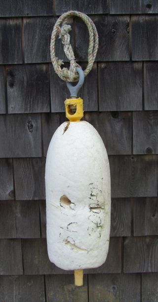 Authentic Maine Lobster Trap Buoy Float - Wy - J4 photo