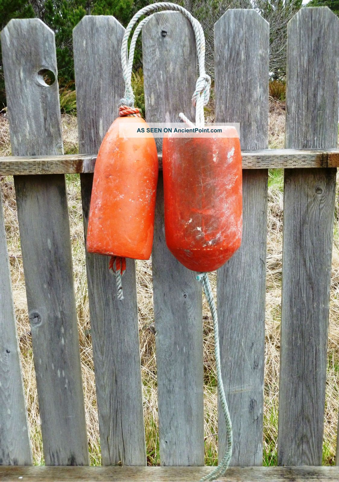 2 Beachcombed Authentic Crab Floats Buoy Bouy Net Fishing Fish Shrimp Lobster 13 Fishing Nets & Floats photo