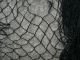 15 X 16 Alaskan Seine Black No Knot Fishing Fish Net Fishing Nets & Floats photo 1