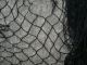 15 X 16 Alaskan Seine Black No Knot Fishing Fish Net Fishing Nets & Floats photo 2