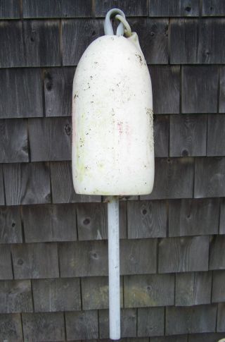 Large Authentic Maine Lobster Trap Buoy Float - Wh - J23 photo