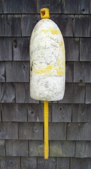 Large Authentic Maine Lobster Trap Buoy Float - Ywy - J21 photo