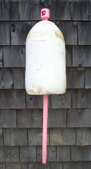 Large Authentic Maine Lobster Trap Buoy Float - Pwp - J14 photo