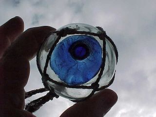 Japanese Glass Float Dark Blue Dot Seal Button photo