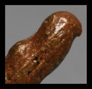 A Wonderful Natural Cast Peanut 18 - 19thc Akan Gold Weight Ex French Coll photo
