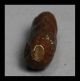 A Wonderful Natural Cast Peanut 18 - 19thc Akan Gold Weight Ex French Coll Other photo 2