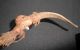 Rare Old Tribal Weapon Ceremonial Weapon & Goat Horn African Tribal Art N/r. Other photo 1