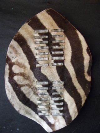 A Antique/vintage Hand Made African Zulu Zebra Shield photo