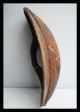 A Leaf Shaped Wooden Shield From Karamajong Tribe Of Kenya Other photo 1