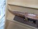 Antique Papua New Guinea Carved Wood Alligator Figure On A Base Pacific Islands & Oceania photo 8