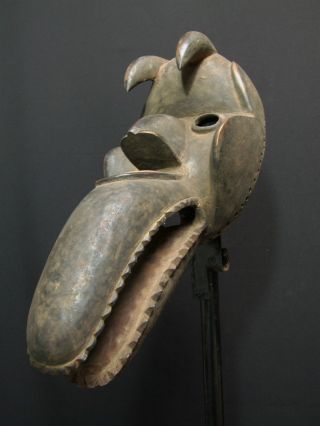 African Tribal Dan Mask photo