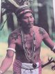 3 Old Dayak Shaman Bubalus Bone Scrimshaw Lime Betel Boxes Turtle Bear Man Bn8 Pacific Islands & Oceania photo 1