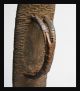 A Petite Woven Shield From The Shee Tribe Of North Eastern Africa Other photo 6