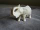 Antique Vtg Ox Bone Faux Ivory Carved Elephant Figurine Statue Sculptures & Statues photo 5