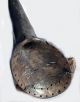 African Wood Corie Shell Dan Animal Nose Beak Mask Cote I ' Voire Liberia Ethnix Other photo 4
