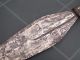 Congo Old African Knife Ancien Couteau D ' Afrique Ngombe Other photo 2