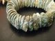 2 New Guinea Vintage Shell Necklaces And Bracelet Limpets Bn $50 Ex Con Pacific Islands & Oceania photo 2