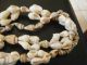 3 New Guinea Vintage Shell Necklaces Bn $50 Ex Con Pacific Islands & Oceania photo 1