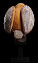 Lovely Carving Of A Hornbill - Totemic Animal Of The Abelam People; Tradition Pacific Islands & Oceania photo 2