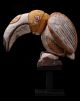 Lovely Carving Of A Hornbill - Totemic Animal Of The Abelam People; Tradition Pacific Islands & Oceania photo 4