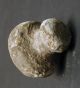 Museum Quality Sao Labret Jewelry Adornment Stone Fossil Lip Plug Chad Ethnix Other photo 1