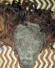 Very Fine Mid 20th Century Chokwe Mwana Pwo Mask/hair Masks photo 5