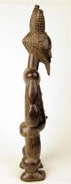 African Boaule Male Ancestor Figure - Ivory Coast African photo 4