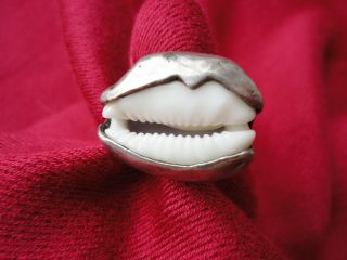 Old Tuareg Sterling Silver Cowrie Shell Talisman Money Ring Africa African photo