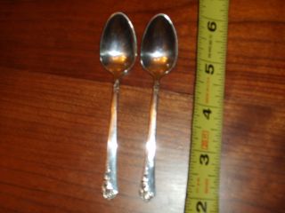 Pair Of Heirloom Sterling Damask Rose Demi Tasse Spoons Perfect Cond photo