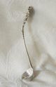Reed And Barton Wild Rose Harlequin Sterling Silver Cream Ladle Other photo 1