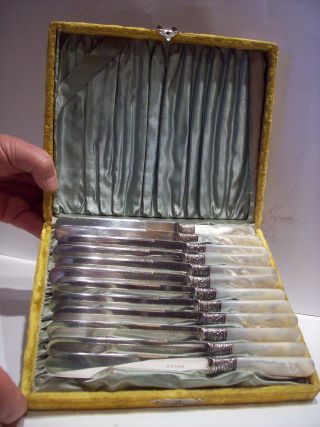 Twelve Mother Of Pearl Handled 9 Inch Dinner Knives Old Estate Good Condition photo