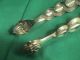 Antique Solid Silver Large Sugar Or Ice Tongues Snakes Germany Germany photo 4