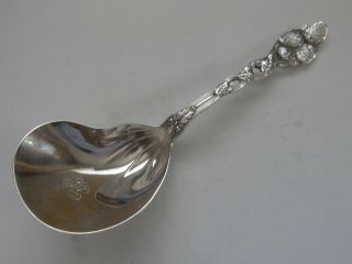 Tiffany Co Sterling Strawberry Pierced Conch Shell Casserole Serving Spoon “jh” photo