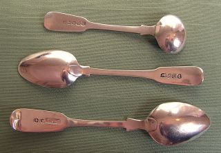 Three Antique Colonial/canadian Silver Fiddle Pattern Tea/mustard Spoons,  C.  1860 photo