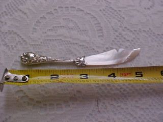 Marked Sterling Old Mother Of Pearl Sterling Butter Speader ? photo