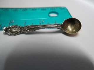 Tiffany & Co.  Stg Salt Spoon Richelieu - 1892 Gold Washed Bowl photo